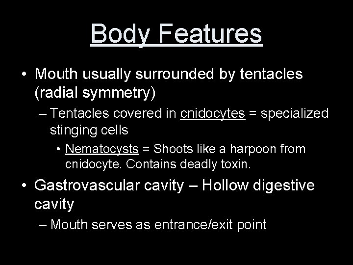 Body Features • Mouth usually surrounded by tentacles (radial symmetry) – Tentacles covered in