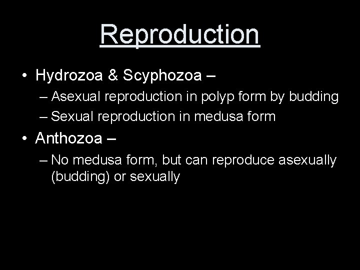 Reproduction • Hydrozoa & Scyphozoa – – Asexual reproduction in polyp form by budding
