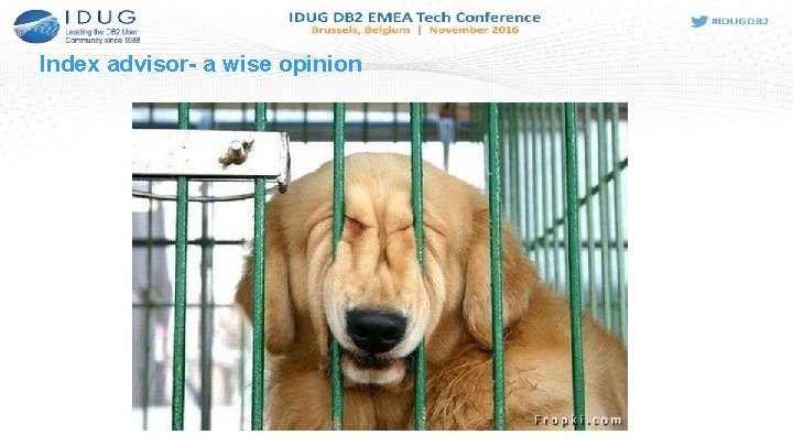 Index advisor- a wise opinion 