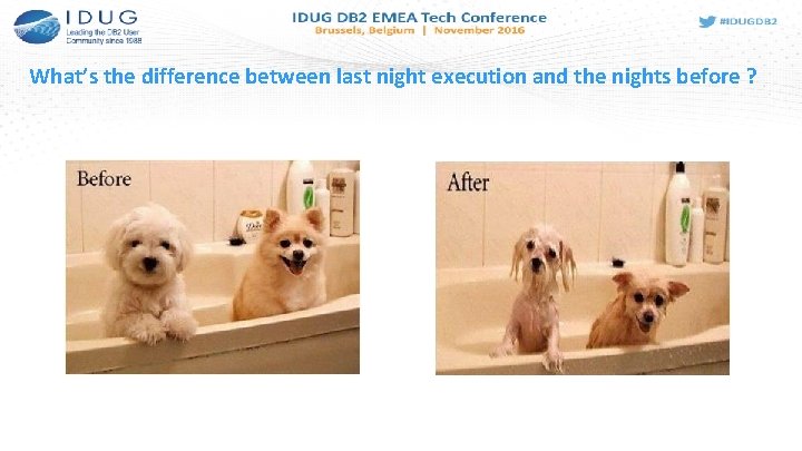 What’s the difference between last night execution and the nights before ? 