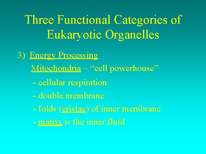 Three Functional Categories of Eukaryotic Organelles 3) Energy Processing Mitochondria – “cell powerhouse” -