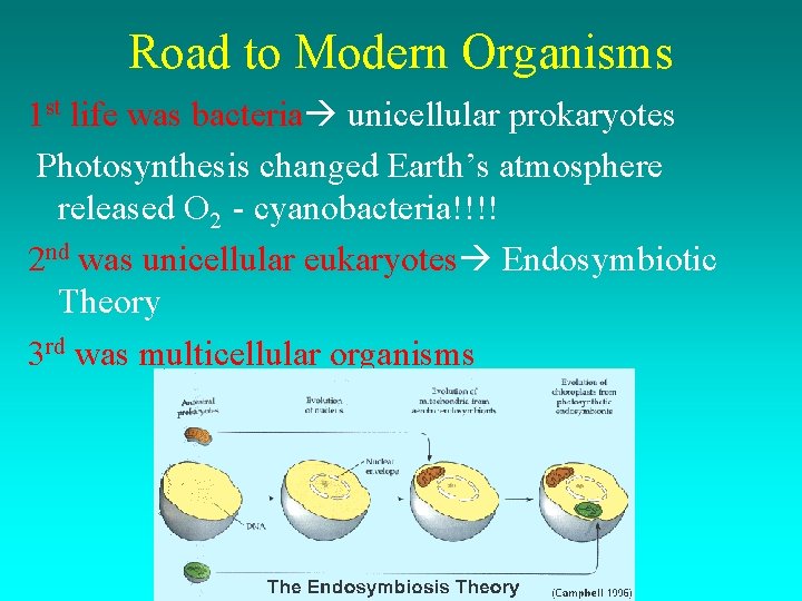 Road to Modern Organisms 1 st life was bacteria unicellular prokaryotes Photosynthesis changed Earth’s