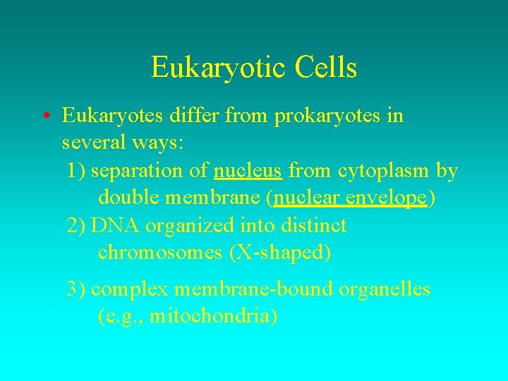 Eukaryotic Cells • Eukaryotes differ from prokaryotes in several ways: 1) separation of nucleus