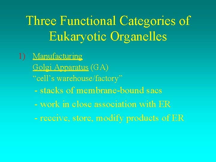 Three Functional Categories of Eukaryotic Organelles 1) Manufacturing Golgi Apparatus (GA) “cell’s warehouse/factory” -