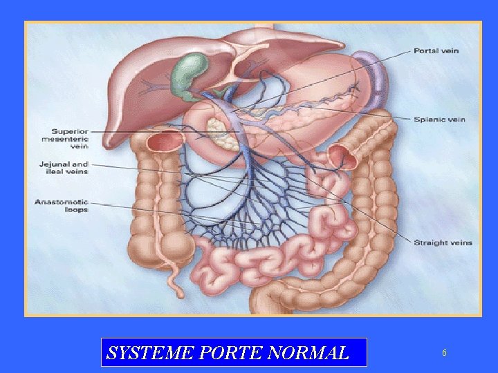 SYSTEME PORTE NORMAL 6 