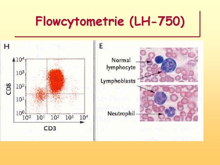 Flowcytometrie (LH-750) 