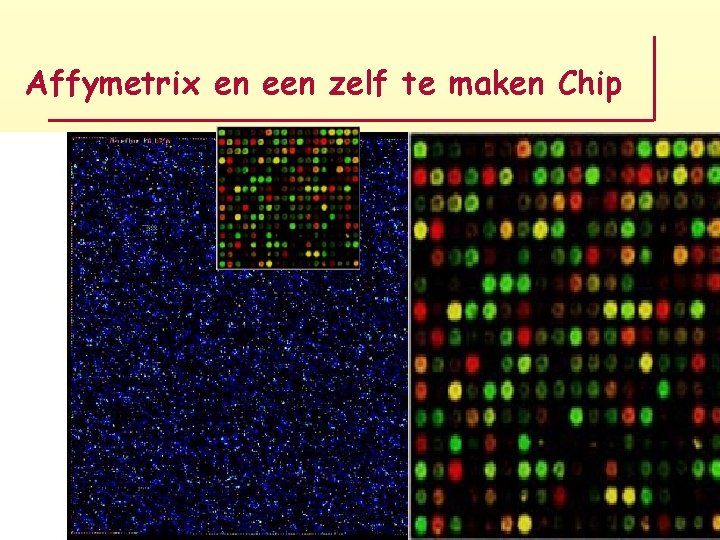 Affymetrix en een zelf te maken Chip 