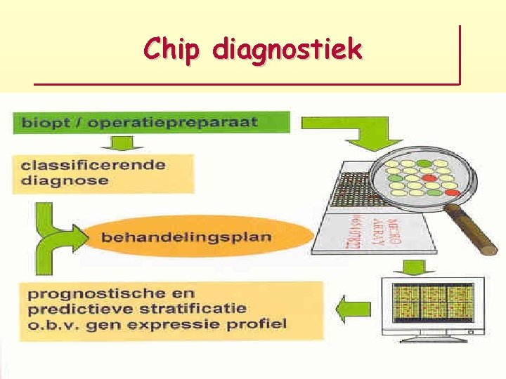 Chip diagnostiek 