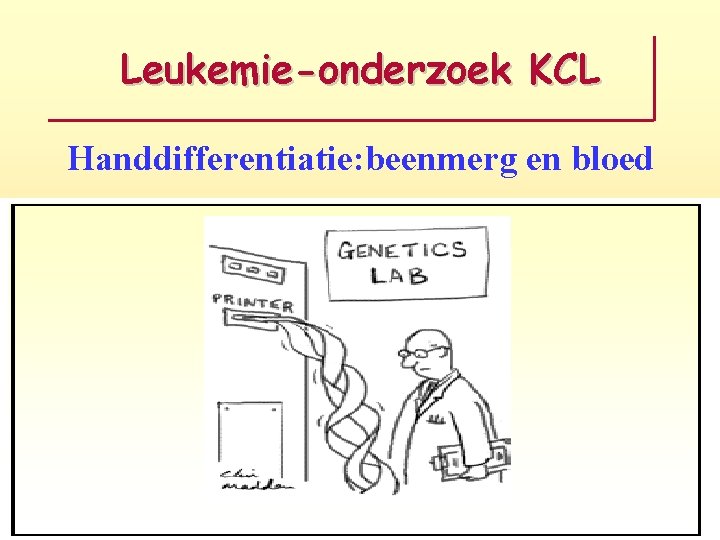 Leukemie-onderzoek KCL Handdifferentiatie: beenmerg en bloed EN 