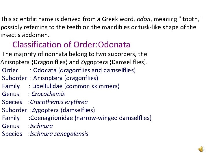 This scientific name is derived from a Greek word, odon, meaning " tooth, "