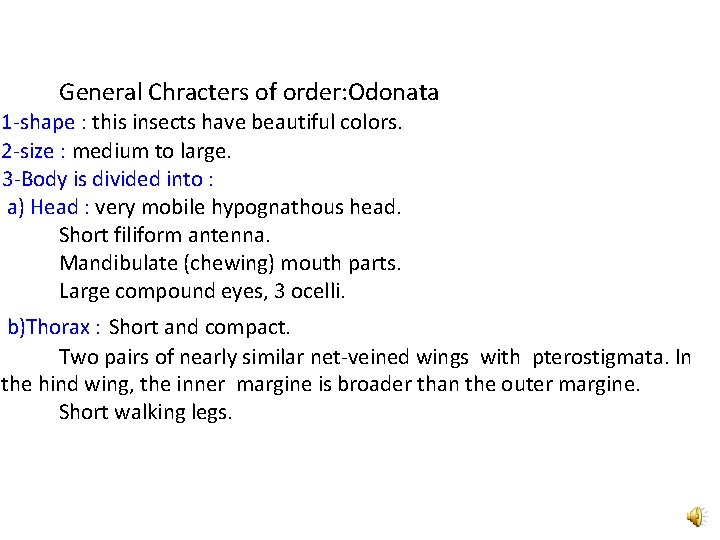General Chracters of order: Odonata 1 -shape : this insects have beautiful colors. 2