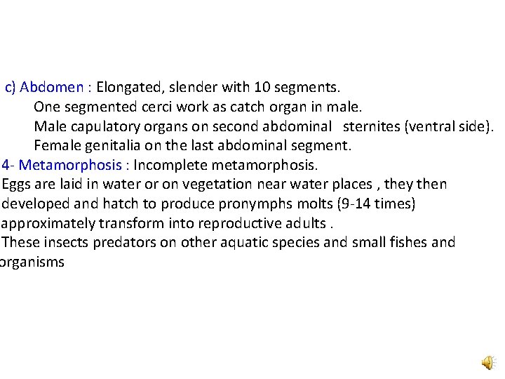 c) Abdomen : Elongated, slender with 10 segments. One segmented cerci work as catch