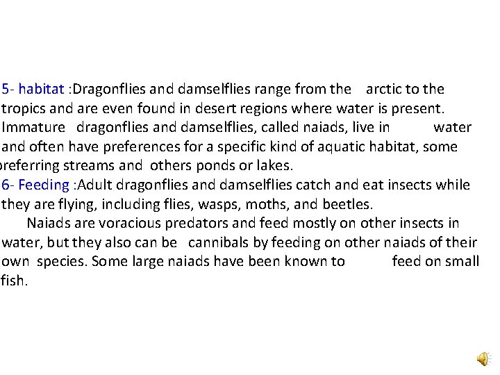 5 - habitat : Dragonflies and damselflies range from the arctic to the tropics