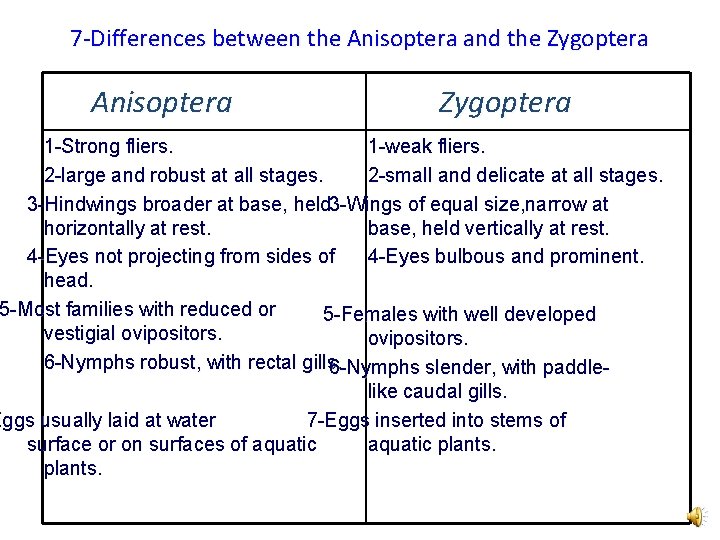 7 -Differences between the Anisoptera and the Zygoptera Anisoptera Zygoptera 1 -Strong fliers. 1