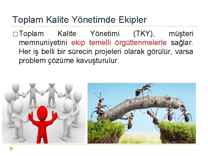 Toplam Kalite Yönetimde Ekipler � Toplam Kalite Yönetimi (TKY), müşteri memnuniyetini ekip temelli örgütlenmelerle