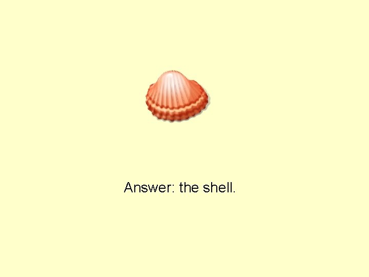 Answer: the shell. 