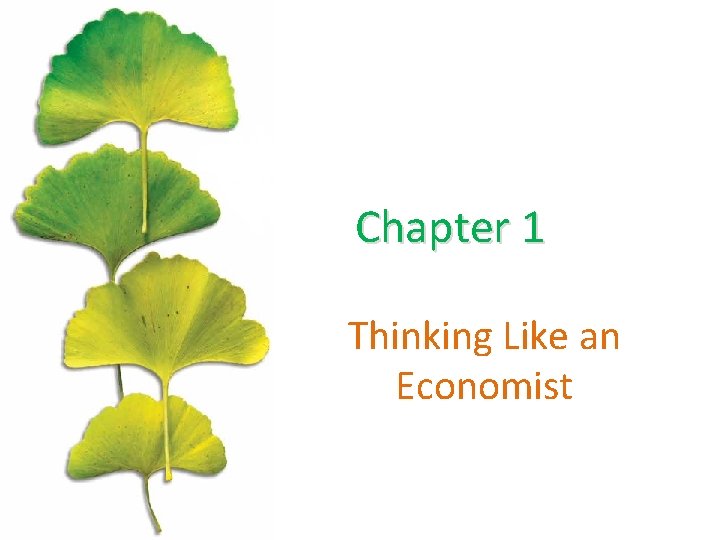 Chapter 1 Thinking Like an Economist 