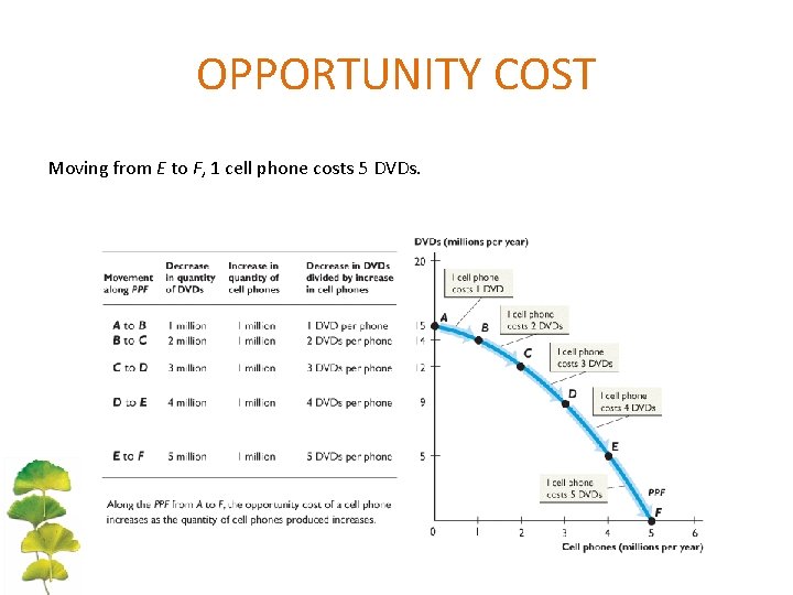 OPPORTUNITY COST Moving from E to F, 1 cell phone costs 5 DVDs. 