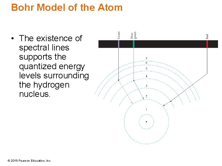 Bohr Model of the Atom • The existence of spectral lines supports the quantized