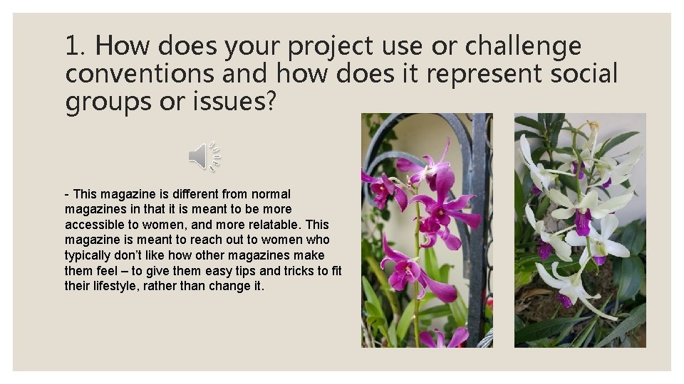 1. How does your project use or challenge conventions and how does it represent
