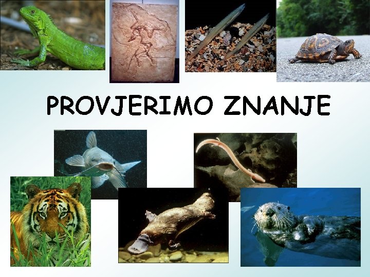 PROVJERIMO ZNANJE 