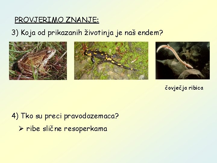 PROVJERIMO ZNANJE: 3) Koja od prikazanih životinja je naš endem? čovječja ribica 4) Tko