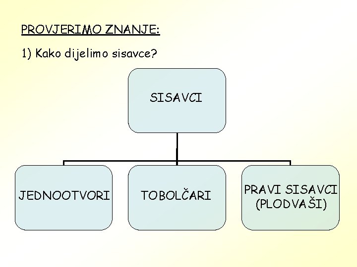 PROVJERIMO ZNANJE: 1) Kako dijelimo sisavce? SISAVCI JEDNOOTVORI TOBOLČARI PRAVI SISAVCI (PLODVAŠI) 