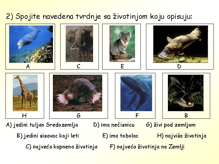 2) Spojite navedena tvrdnje sa životinjom koju opisuju: A H C E G A)