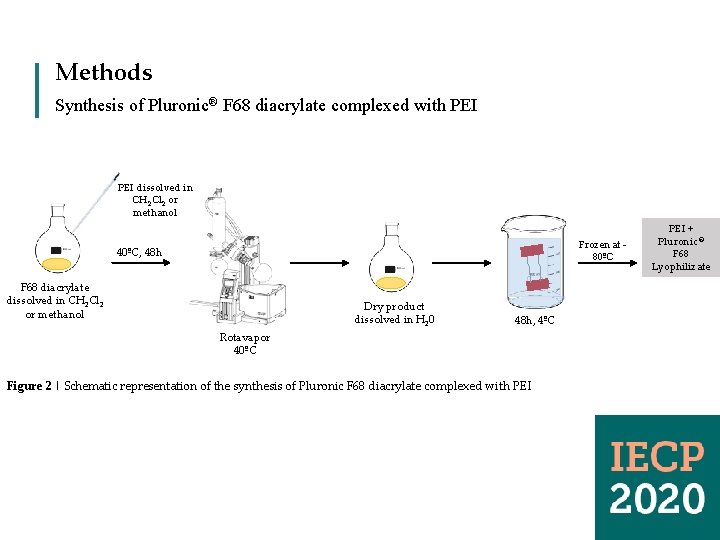 Methods Synthesis of Pluronic® F 68 diacrylate complexed with PEI dissolved in CH 2