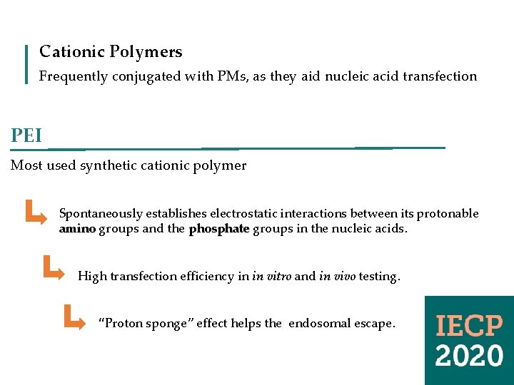 Cationic Polymers Frequently conjugated with PMs, as they aid nucleic acid transfection PEI Most