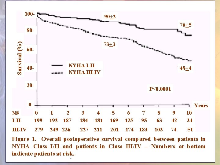 100 - 90+2 76+5 Survival (%) 8073+3 60 NYHA I-II NYHA III-IV 40 - 100 - 90+2 76+5 Survival (%) 8073+3 60 NYHA I-II NYHA III-IV 40 -