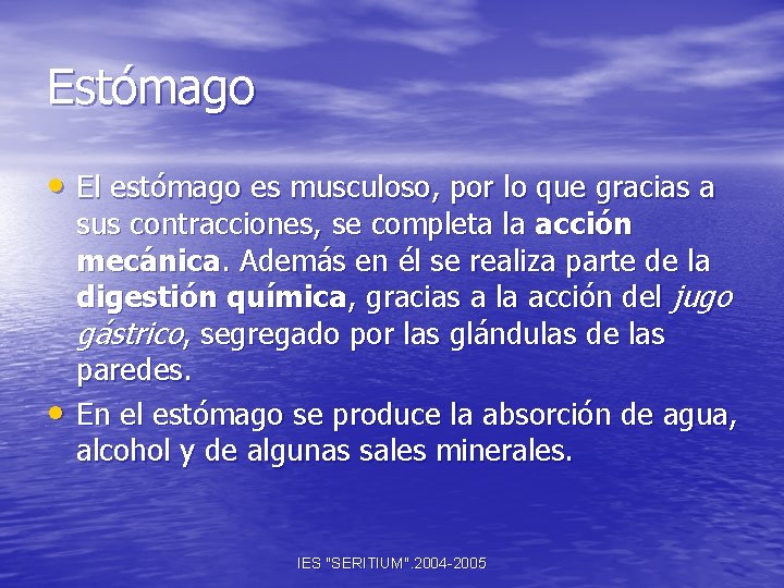 Estómago • El estómago es musculoso, por lo que gracias a • sus contracciones,