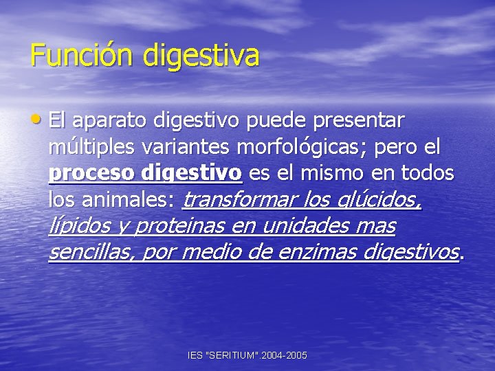 Función digestiva • El aparato digestivo puede presentar múltiples variantes morfológicas; pero el proceso