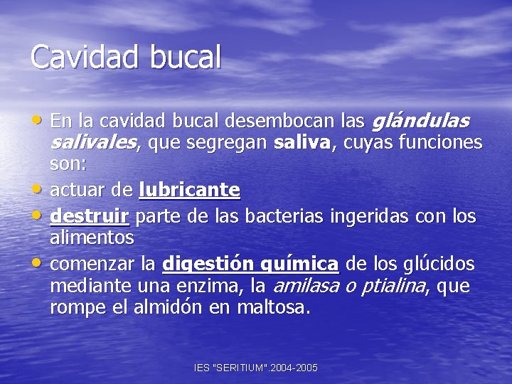 Cavidad bucal • En la cavidad bucal desembocan las glándulas salivales, que segregan saliva,