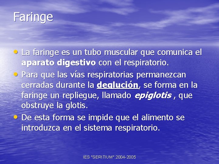 Faringe • La faringe es un tubo muscular que comunica el • • aparato