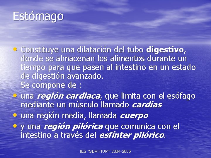 Estómago • Constituye una dilatación del tubo digestivo, • • • donde se almacenan