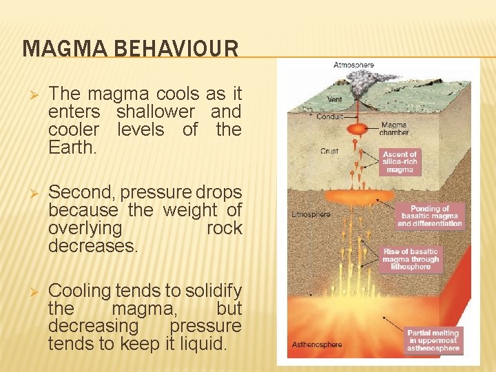 MAGMA BEHAVIOUR Ø The magma cools as it enters shallower and cooler levels of