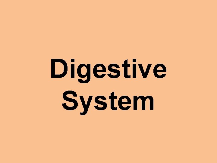 Digestive System 