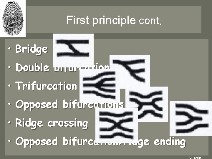 First principle cont. • Bridge • Double bifurcation • Trifurcation • Opposed bifurcations • First principle cont. • Bridge • Double bifurcation • Trifurcation • Opposed bifurcations •