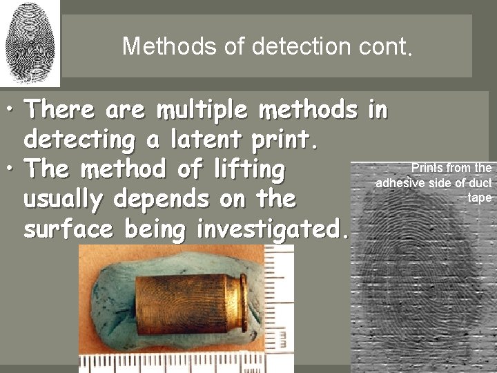 Methods of detection cont. • There are multiple methods in detecting a latent print. Methods of detection cont. • There are multiple methods in detecting a latent print.