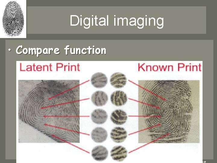 Digital imaging • Compare function – Two images side by side – Allows the Digital imaging • Compare function – Two images side by side – Allows the