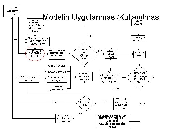 Model Geliştirme Süreci Modelin Uygulanması/Kullanılması 