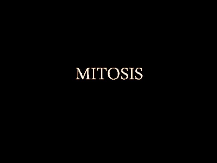 MITOSIS 