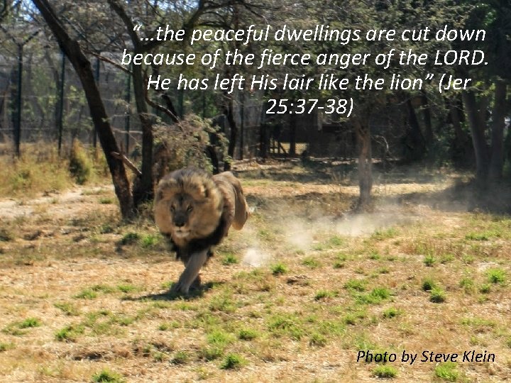 “…the peaceful dwellings are cut down because of the fierce anger of the LORD. “…the peaceful dwellings are cut down because of the fierce anger of the LORD.