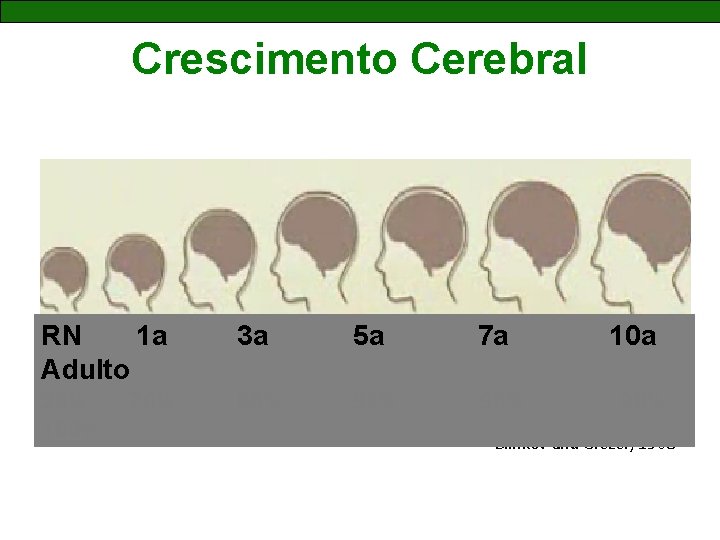 Crescimento Cerebral RN 1 a Adulto 3 a 5 a 7 a 25% 100%