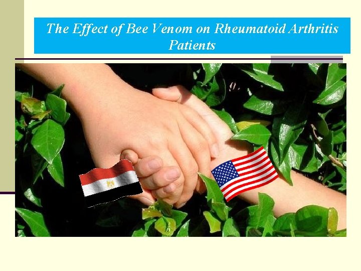 The Effect of Bee Venom on Rheumatoid Arthritis Patients 