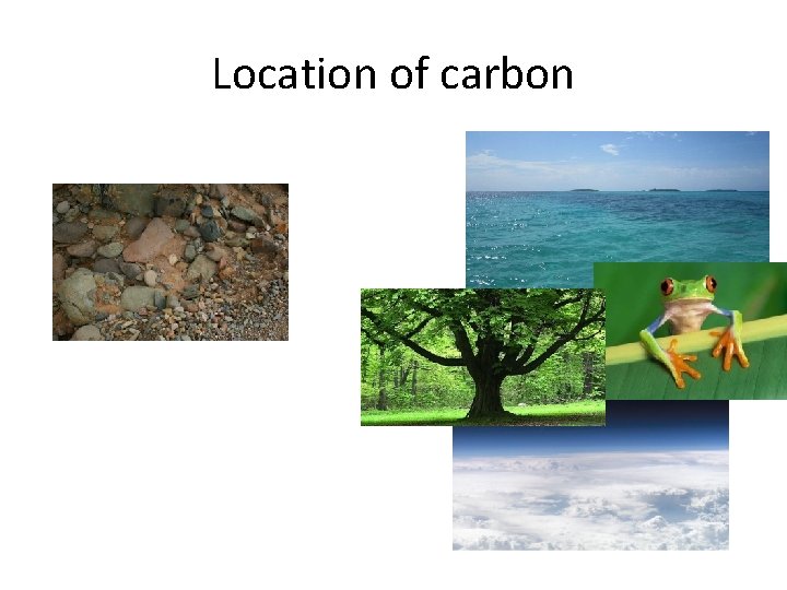 Location of carbon 