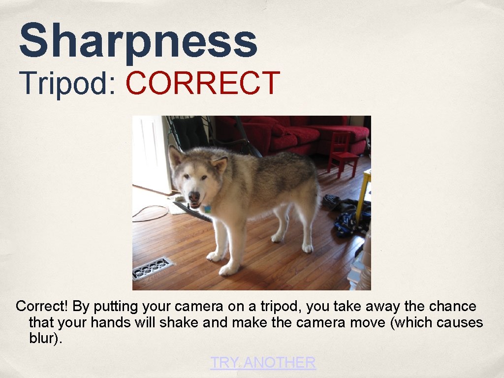 Sharpness Tripod: CORRECT Correct! By putting your camera on a tripod, you take away