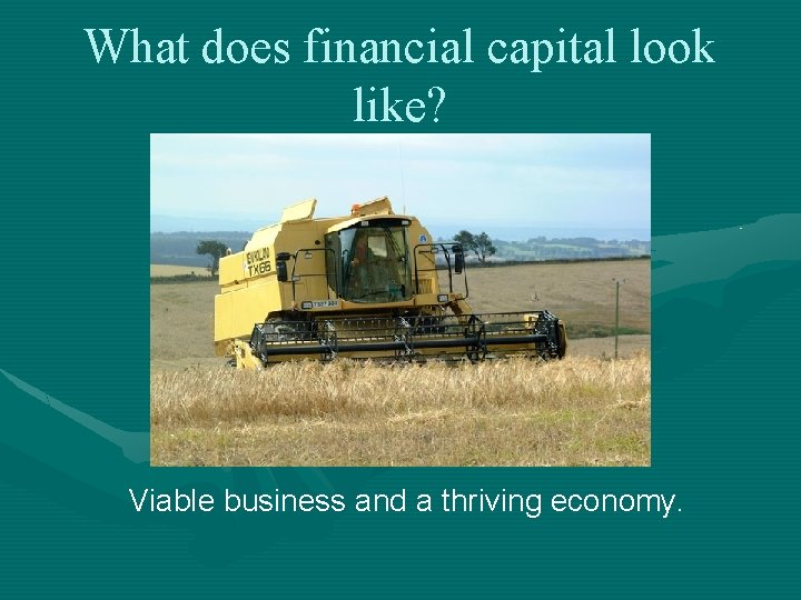 What does financial capital look like? Viable business and a thriving economy. 