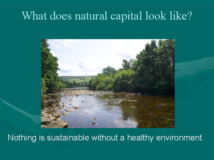 What does natural capital look like? Nothing is sustainable without a healthy environment. 